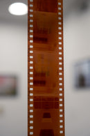 Disposable Camera Development & Scanning Product Page (C41 Color)