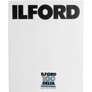 Ilford Delta 100 Professional Black and White Negative Film (4 x 5", 25 Sheets)