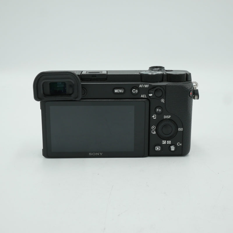 Sony a6600 Mirrorless Camera