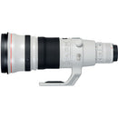 Canon EF 500mm f/4L IS II USM
