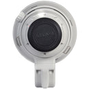 Canon EF 500mm f/4L IS II USM