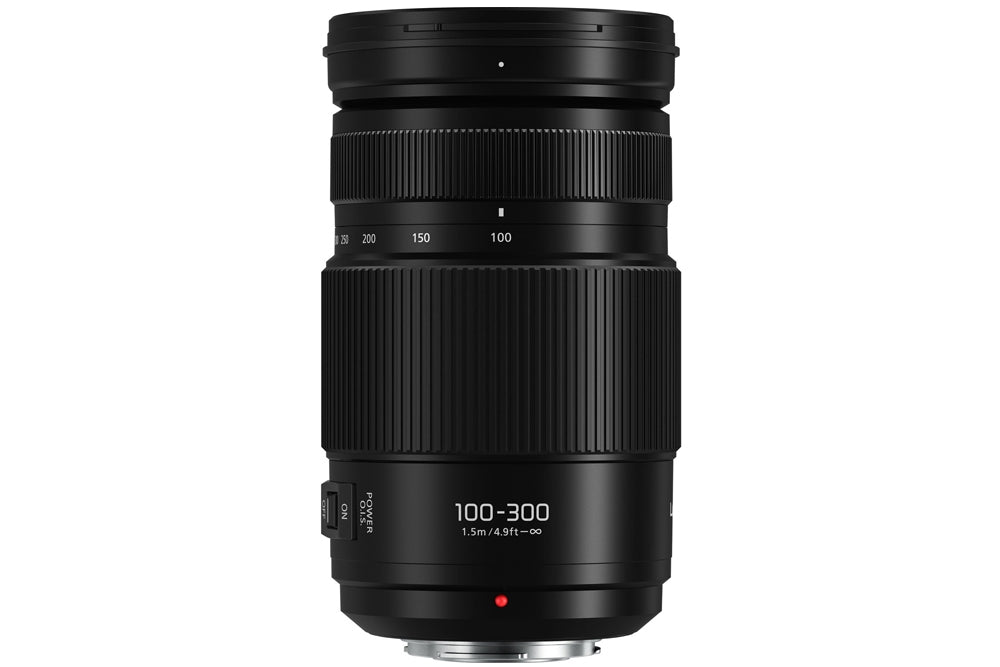 Panasonic Lumix G Vario 100-300mm, f/4.0-5.6, OIS, Micro Four Thirds L