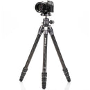 Buy Benro Tortoise Columnless Carbon Fiber One Series Tripod with GX25 Ball Head