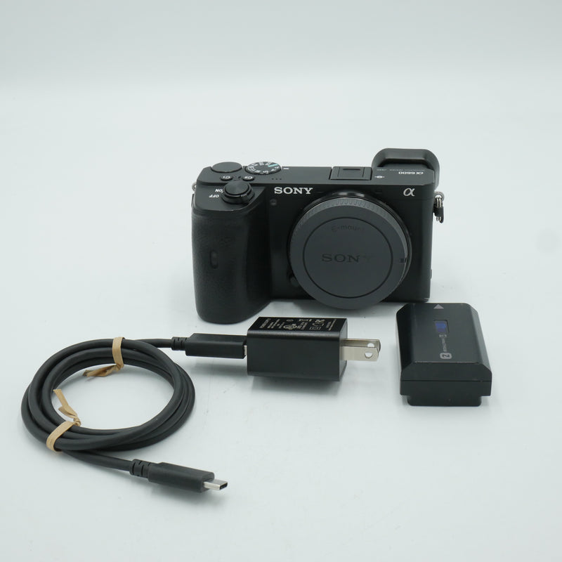 Sony a6600 – Photoxels