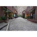 Sony FE 28-60mm f/4-5.6 Lens