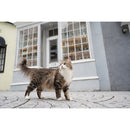 Sony FE 28-60mm f/4-5.6 Lens