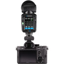 Westcott FJ80 and FJ400 Strobe 2-Light Portable Portrait Kit