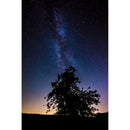 Leica SL2-S Mirrorless Digital Camera (Body Only)