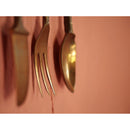 Panasonic Leica DG Vario-Summilux 25-50mm f/1.7 ASPH. Lens