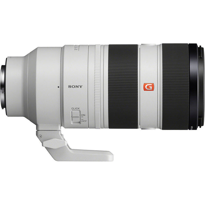 Sony 100-400 VS 70-200 F2.8 GM II With 2x Tele at 400mm 