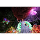 Canon RF 15-30mm f/4.5-6.3 IS STM Lens