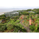 Canon RF 15-30mm f/4.5-6.3 IS STM Lens