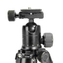 Buy ProMaster TTS522 Professional Small Tabletop Tripod