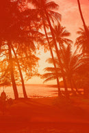 Revolog 600NM Color 35mm Film - ISO 200