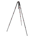 Buy Promaster Specialist SP528C Professional Carbon Fiber Tripod Kit