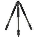 Buy Benro CLT203 2-Series Induro Classic Carbon Fiber Tripod