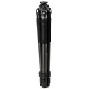 Buy Benro CLT203 2-Series Induro Classic Carbon Fiber Tripod