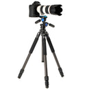 Buy Benro CLT203 2-Series Induro Classic Carbon Fiber Tripod