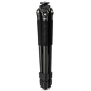 Buy Benro CLT303 3-Series Induro Classic Carbon Fiber Tripod