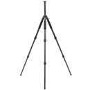 Buy Benro CLT303 3-Series Induro Classic Carbon Fiber Tripod