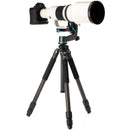 Buy Benro CLT303 3-Series Induro Classic Carbon Fiber Tripod