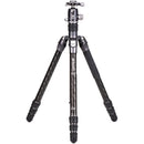 Buy Benro Rhino Carbon Fiber Three Series Travel Tripod with VX30 Head