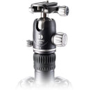 Buy Benro Rhino Carbon Fiber Three Series Travel Tripod with VX30 Head