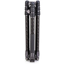 Buy Benro Rhino Carbon Fiber Three Series Travel Tripod with VX30 Head