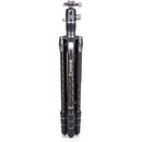 Buy Benro Rhino Carbon Fiber Three Series Travel Tripod with VX30 Head