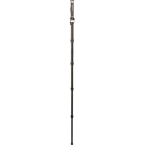 Buy Benro MSD46C SupaDupa Carbon Fiber Monopod (72")