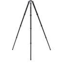 Benro Mammoth Carbon Fiber Tripod