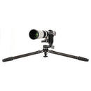 Benro Mammoth Carbon Fiber Tripod