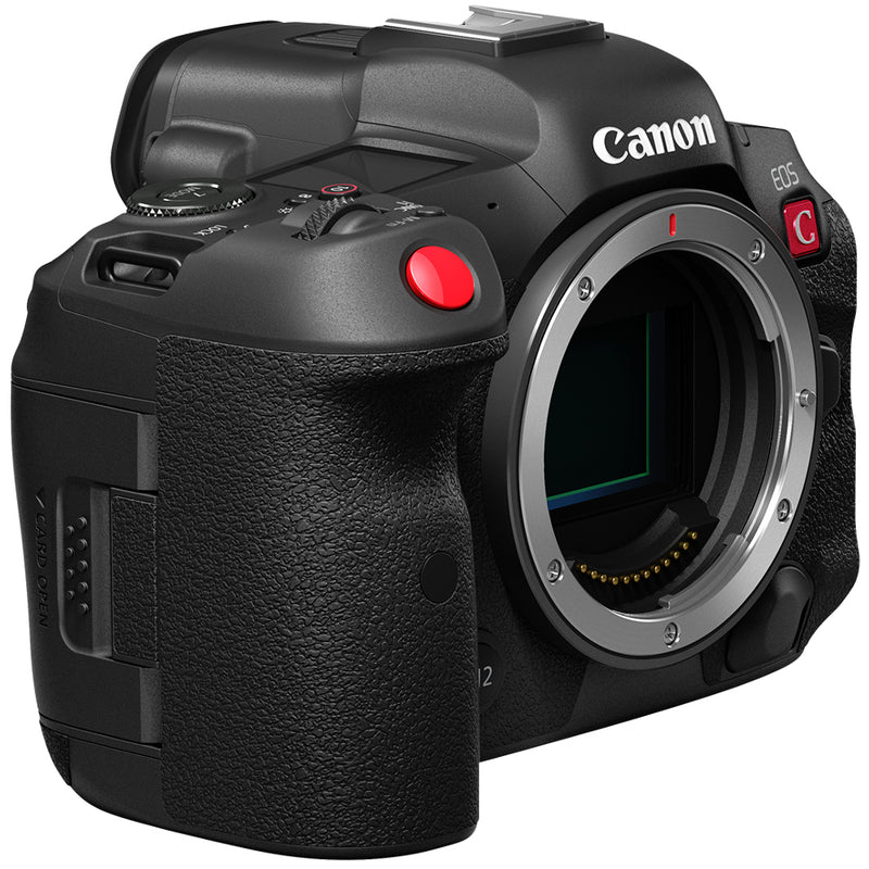 Canon R5 6 Month Review