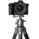 Buy Explorer EX-EXP Expedition Carbon Fibre Tripod