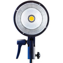 Buy Westcott FJ400 Strobe 400Ws with AC/DC Battery