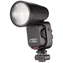 Buy Westcott FJ80 II M Universal Touchscreen 80Ws Speedlight with Adapter for Sony Cameras