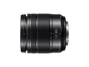 Panasonic Lumix G Vario 12-60mm f/3.5-5.6 ASPH. POWER O.I.S. Lens