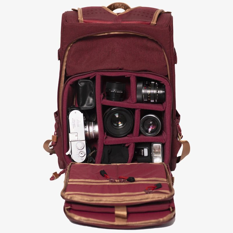 Buy Langly Alpha Compact Camera Backpack - Brick