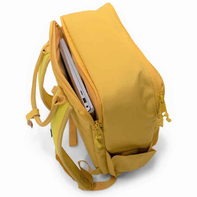 Langly Sierra Camera Backpack - Aspen Gold