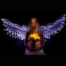 Buy Light Painting Brushes Feather Plexiglass Brush