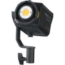 Buy Nanlite Forza 60 Daylight LED Monolight Kit