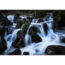 OM SYSTEM OM-5 Mirrorless Camera - Black