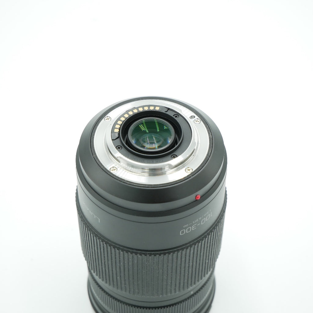 Panasonic Lumix G Vario 100-300mm f/4-5.6 II POWER O.I.S. Lens