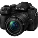 Buy Panasonic Lumix DC-G95 Mirrorless Digital Camera with 12-60mm Lens