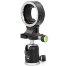 Buy ProMaster EF to RF Lens Adapter with AF