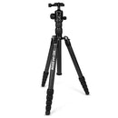 Buy Promaster XC-M 528CK Professional Carbon Fiber Tripod Kit with Ball Head - Black
