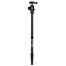 Buy Promaster XC-M 528CK Professional Carbon Fiber Tripod Kit with Ball Head - Black