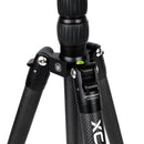 Buy Promaster XC-M 528CK Professional Carbon Fiber Tripod Kit with Ball Head - Black