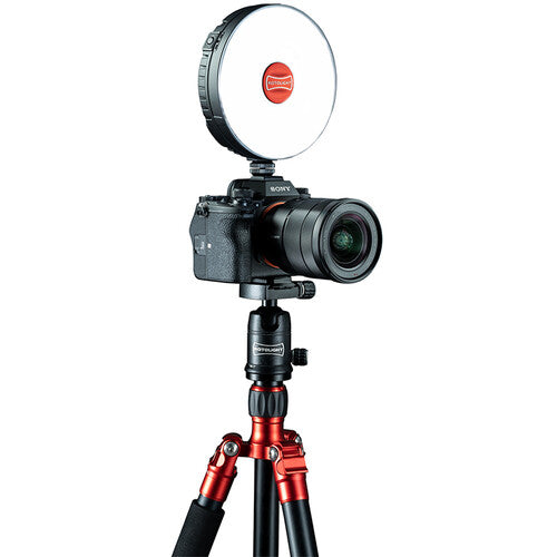 Rotolight NEO 3 On-Camera RGBWW LED Light Starter Bundle