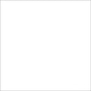 Savage Widetone Seamless Background Paper (